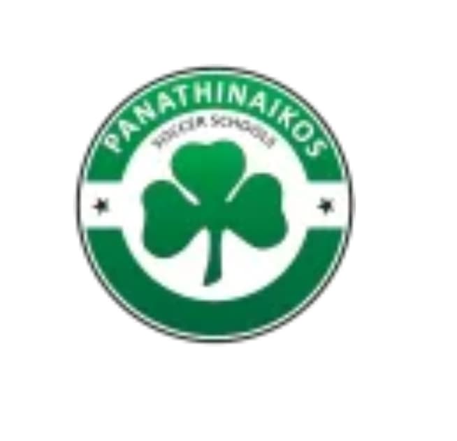 PSS SOCCER SCHOOL logo
